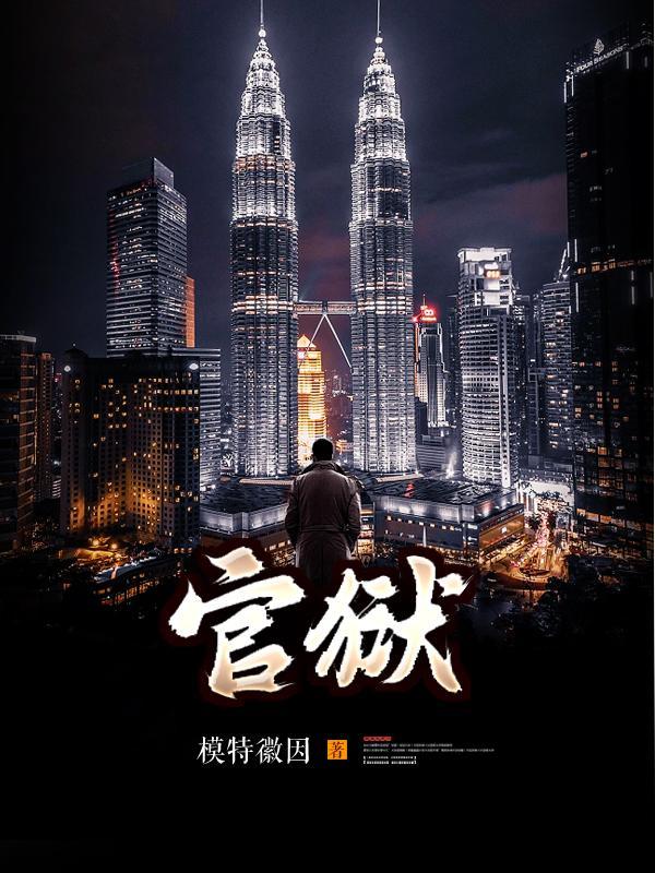 官场孽缘完整版