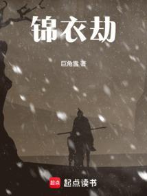 锦衣劫番外txt书包网