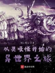 主角是灵吸怪的