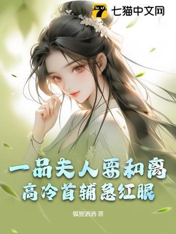 一品夫人是什么意思