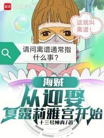 从海贼开始连接