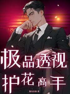 极品透视保镖完整版读
