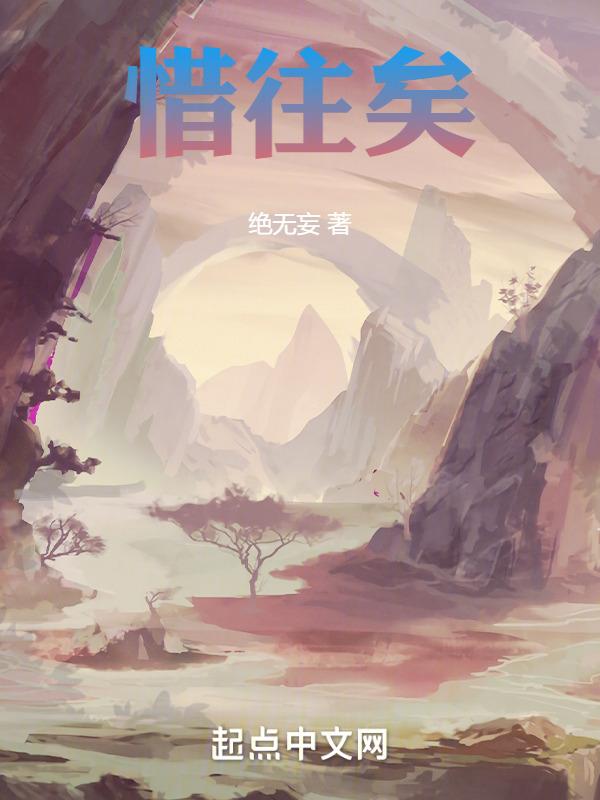惜往矣什么意思