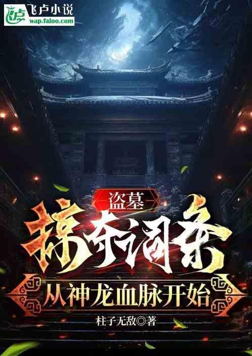 主角是盗墓贼的