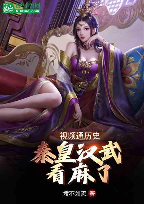 秦皇汉武的视频