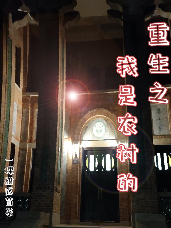 重生农村人