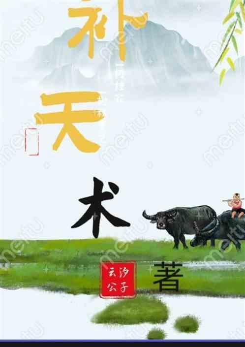 补天术介绍