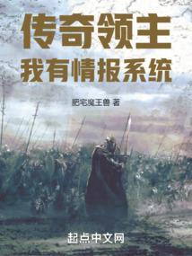 领主传奇手游密令