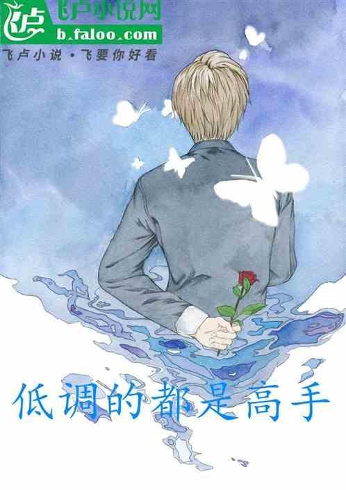 低调高手百科