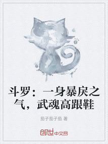 斗罗大陆之武魂是女装的