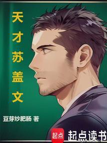 苏盖文属于什么档次