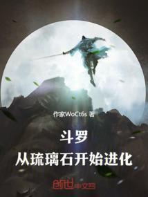 从斗罗开始流浪之旅