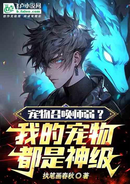 宠物召唤系统