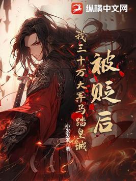被贬后我三十万大军马踏皇城全本免