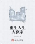 人生大赢家综txt书包网