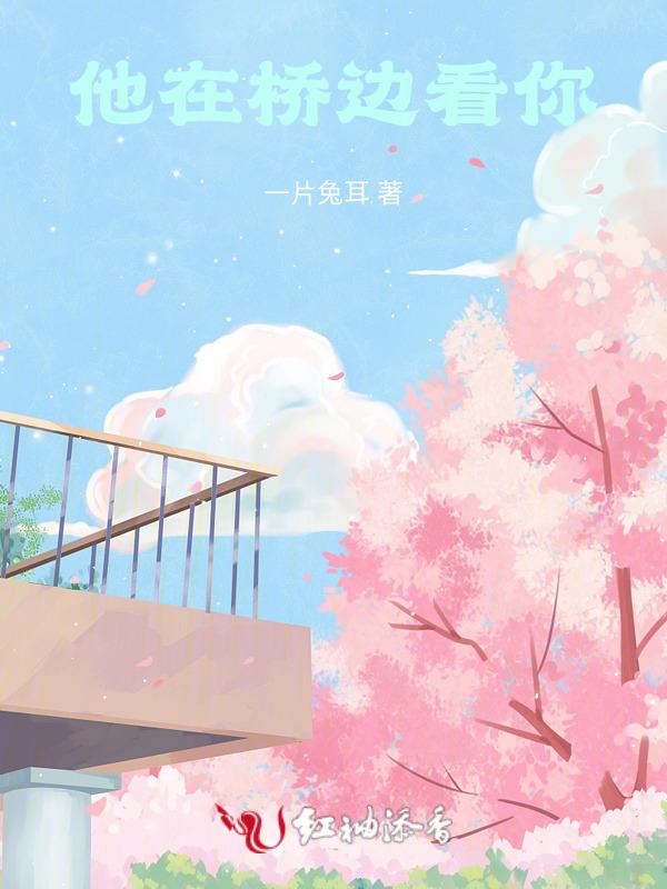 你在桥上看风景我在看你