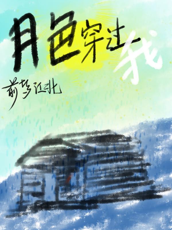 穿过月色相拥全集