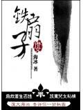 铁扇子武器多少钱一把