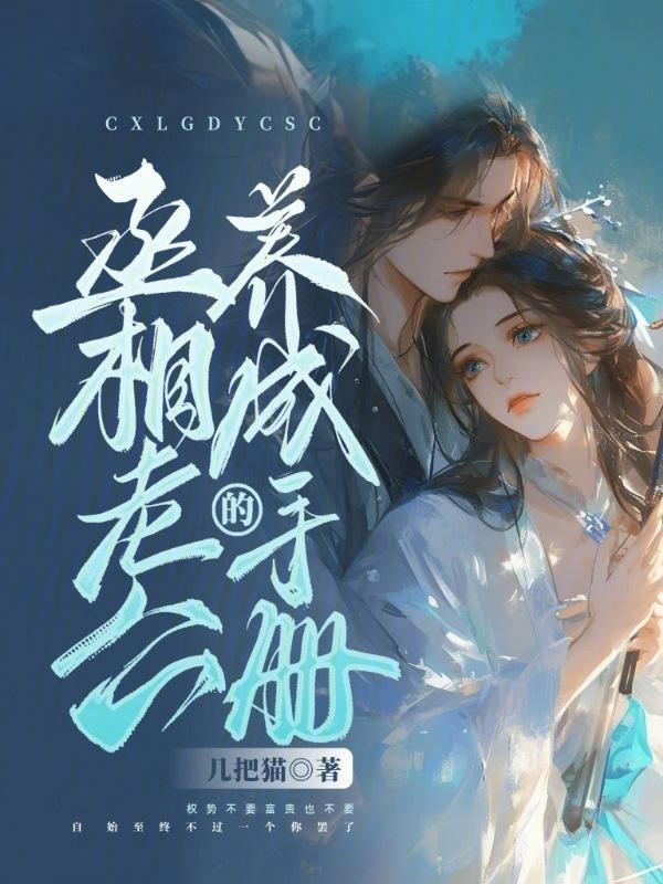 丞相养妻实录正版