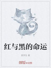 红与黑解释