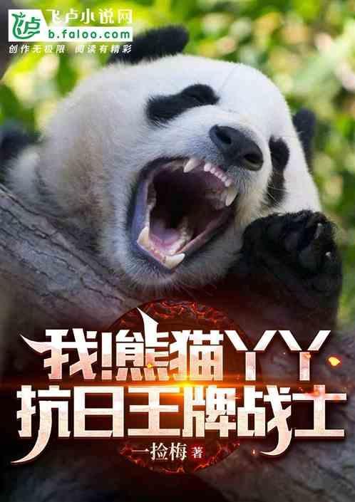 我要看熊猫猫