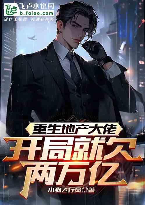 重生之地产大亨全文阅读