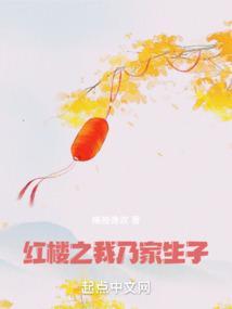 红楼之家生子同人