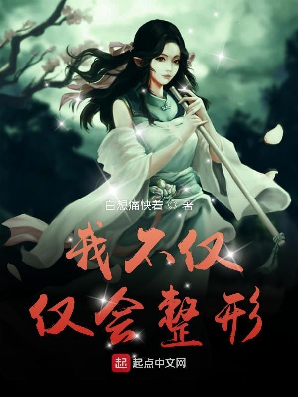 我不仅仅会整形英语翻译