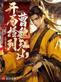 三国开局捡到曹魏江山的