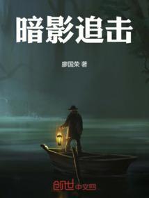 暗影追击加强版详细讲解