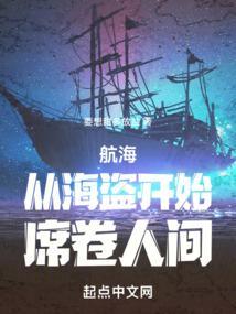 从海盗到海军txt