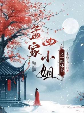 孟四小姐是什么电视剧