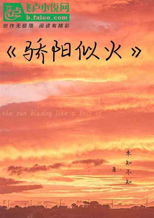 骄阳伴我电视剧