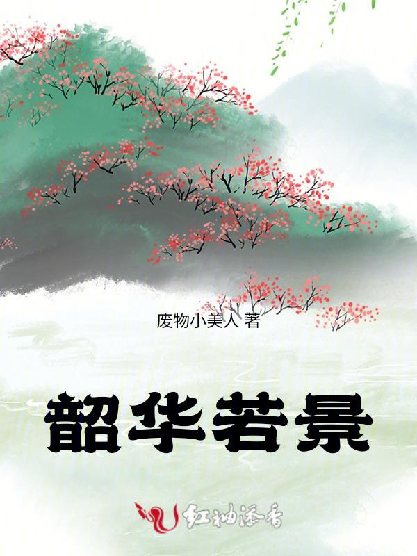 韶华若景电视剧全集在线观看 免费