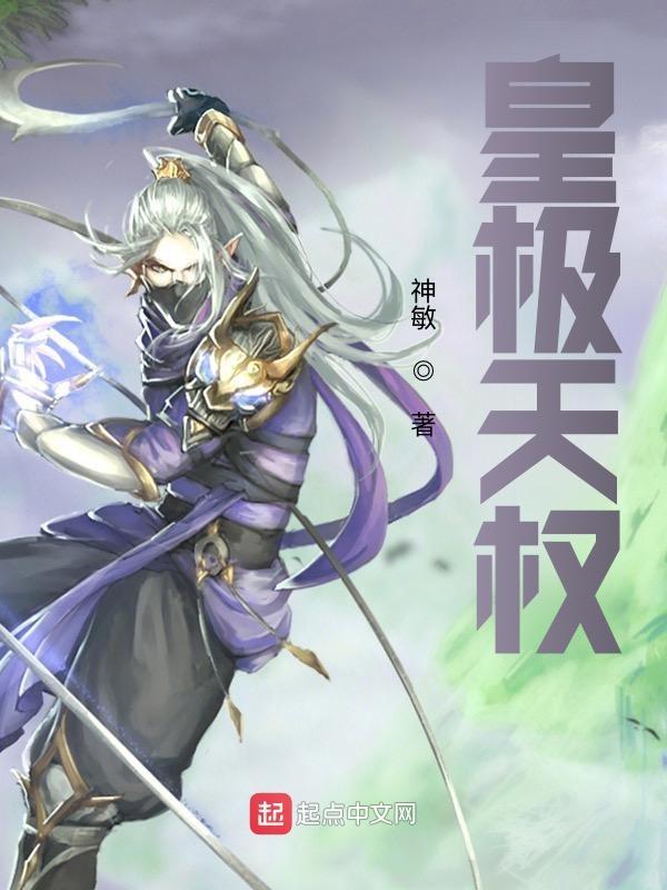皇极天尊红火全集