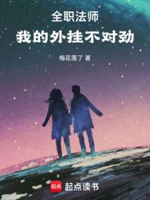 全职法师外传一