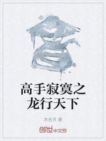 高手寂寞阅读全文