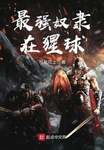 最强奴隶主系统txt