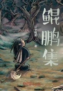 鲲鹏集团公司