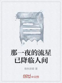 流星到来的那一夜