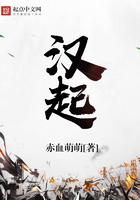 汉起新章