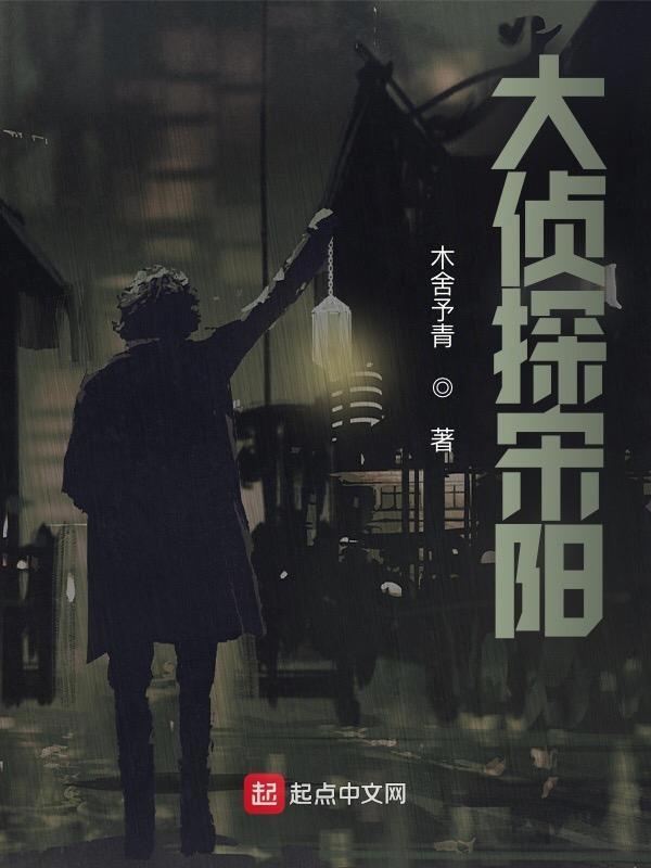 大宋小侦探