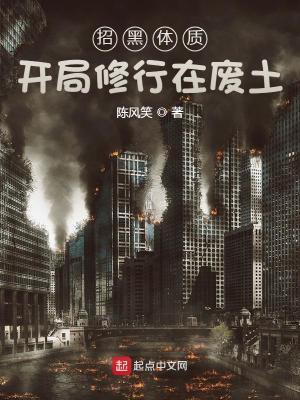 招黑体质开局修行在废土境界解析