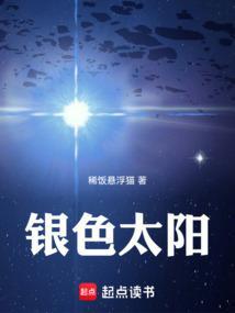 银色太阳 笔趣阁