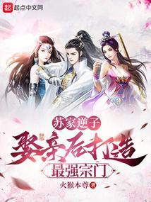 苏家结局是什么