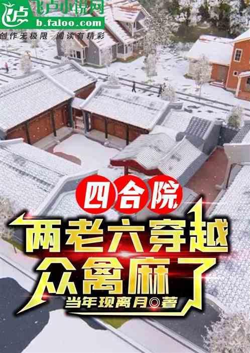 四合院中的二门