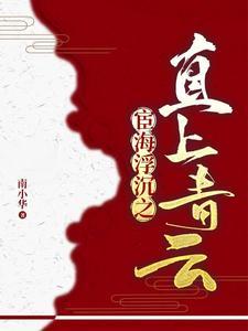 官场 县委书记