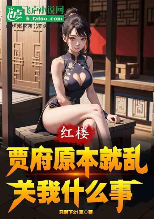 红楼梦贾府