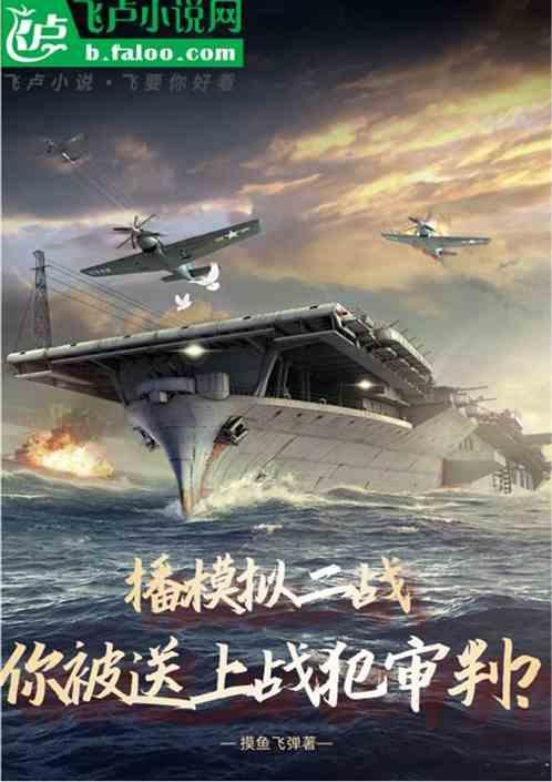 模拟二战视频