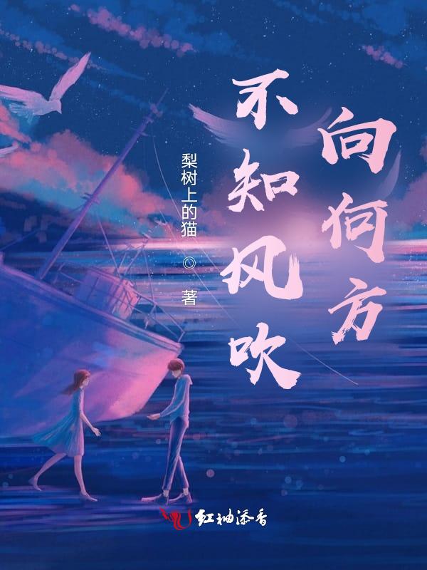 不知道风是在哪一个方向吹修辞手法